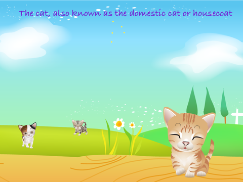 My Cat Lite - Animal Kingdom screenshot 2