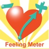 Feeling Meter