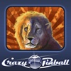 Crazy Pinball Safari