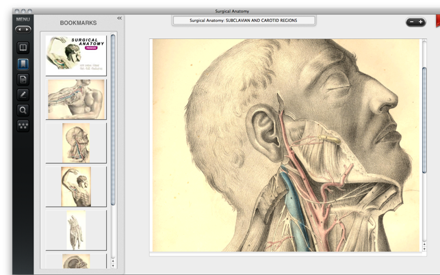 Surgical Anatomy - Premium Edition(圖5)-速報App