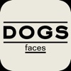 Dogs' Faces