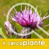 Cercapiante - Immagini, nomi scientifici, comuni e dialettali di piante ora anche per iPad