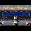 Rebound Roy