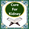 CureKidney