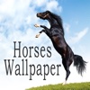 Horses Wallpaper & Background