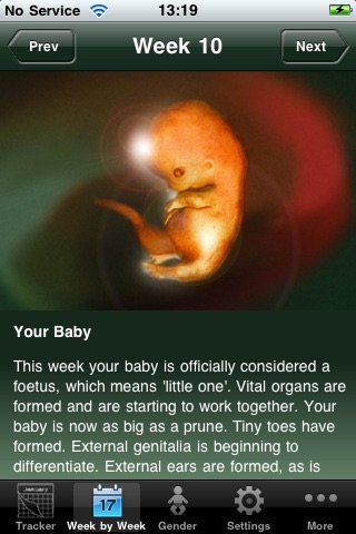 Baby Pregnancy Tracker (Lite) screenshot 2