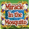 THE MIRACLE IN  THE MOSQUITO