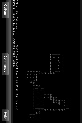 NetHack screenshot 3