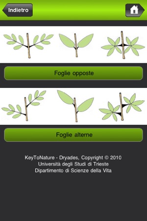 Cento piante da scoprire nell'Orto Botanico di Catania(圖3)-速報App