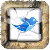 Tweepshoot - the World's first Twitter iPhone Game