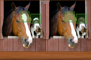 How to cancel & delete Horses Spot the Difference from iphone & ipad 1