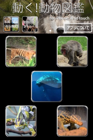 Animal Life mini JP FREE(圖3)-速報App