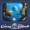 Crazy Pinball Deep Blue