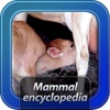 Mammals encyclopedia