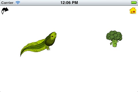 Life Cycles for Kids Lite