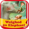 GuruBear - 大象有多重？