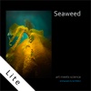 Seaweed - Art meets science for iPad lite