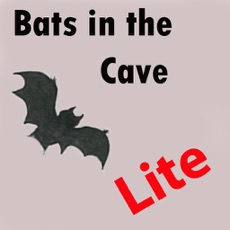 Activities of Bats in the Cave Lite