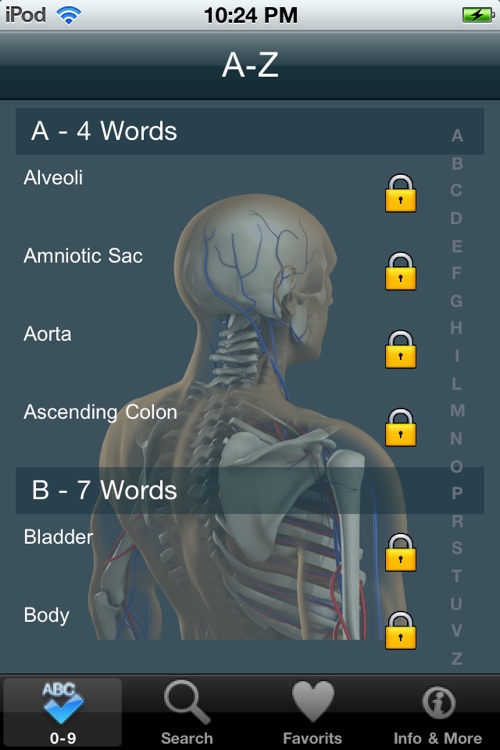 VISUAL: Organ Anatomy