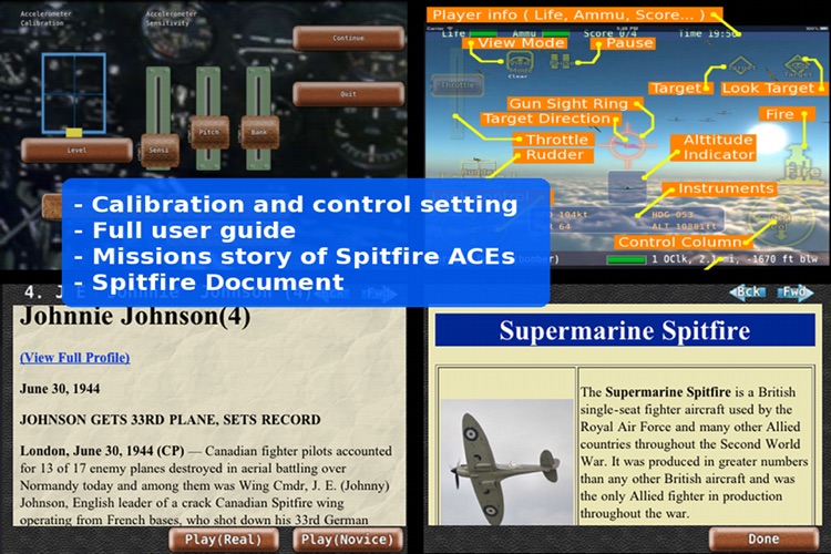 Warbirds Spitfire screenshot-3