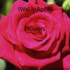 iWaLlpApERf - Flowers Wallpaper