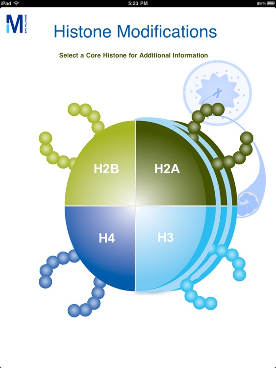 Merck Millipore Interactive Histone Modificatio...