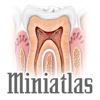 Miniatlas Odontologia