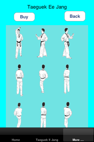 Taekwondo Personal Trainer screenshot 3
