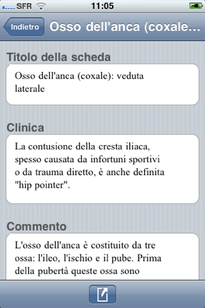 Netter Flashcards: Arti Inferiori LITE(圖4)-速報App