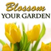 Blossom Your Garden with Flowers