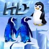 Penguin Island HD