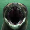 Titanoboa: Monster Snake Game