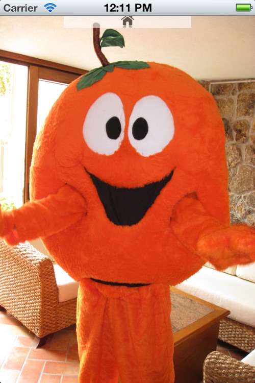 arancino screenshot-4