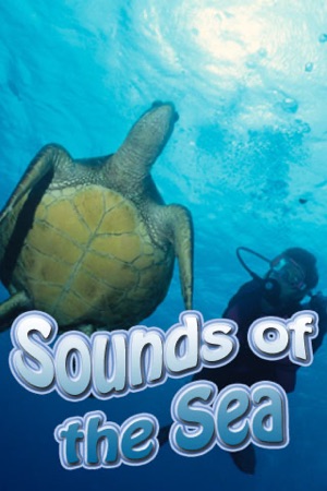 Sounds of the Sea