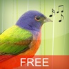 Bird Caller + Free