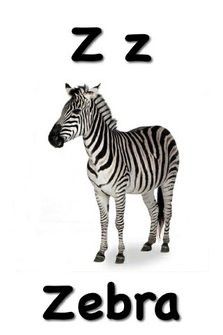 Funny Flash Cards - Morphing Alphabet Lite screenshot-4