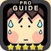 Guide for Stupidness 2 Pro