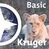 Basic Kruger