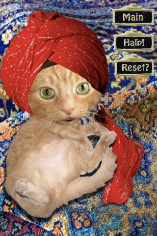 Swami Paws the LOLcat Fortune Teller