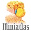 Miniatlas Obesidade