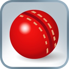 Activities of Practice Cricket Pocket Edition