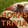 Football Fan Trivia (Texas)