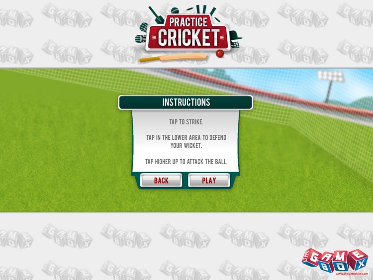 Practice Cricket
