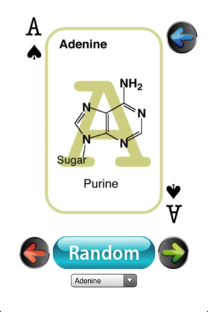 BioChem Euchre Deck(圖2)-速報App