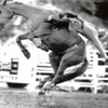 BEST OF RODEOS—Truly Western Professionals