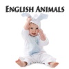 Learn To Speak English: Animals