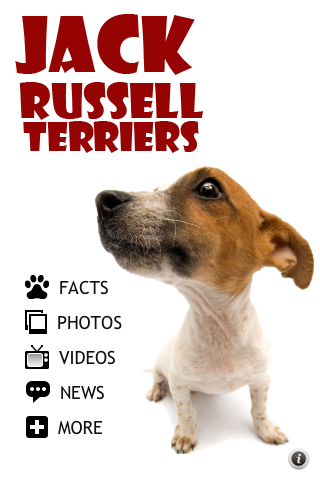 Jack Russell Terriers - Small Dog Series screenshot 2