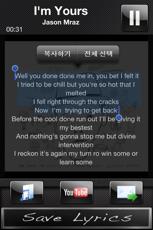 Save Lyrics (가사 저장 어플) screenshot-3