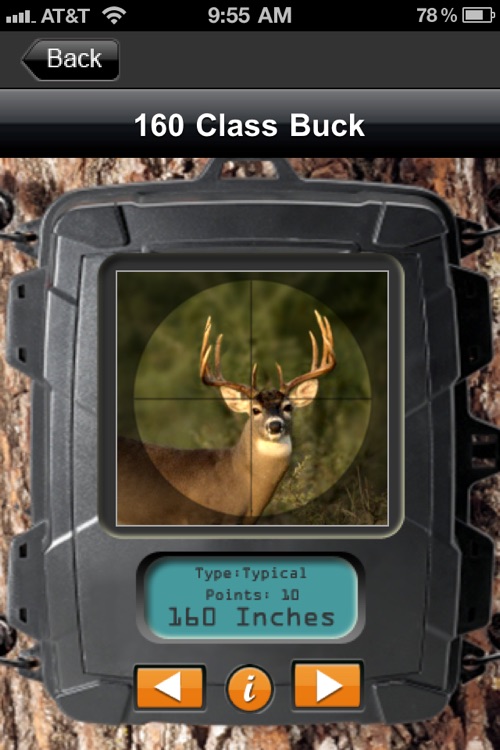 Deer Scoring & Field Aging Guide