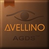 Avellino 유전자 검사